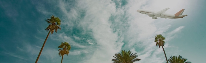 an airplane flying over palm trees